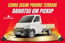 Granmax Pick Up